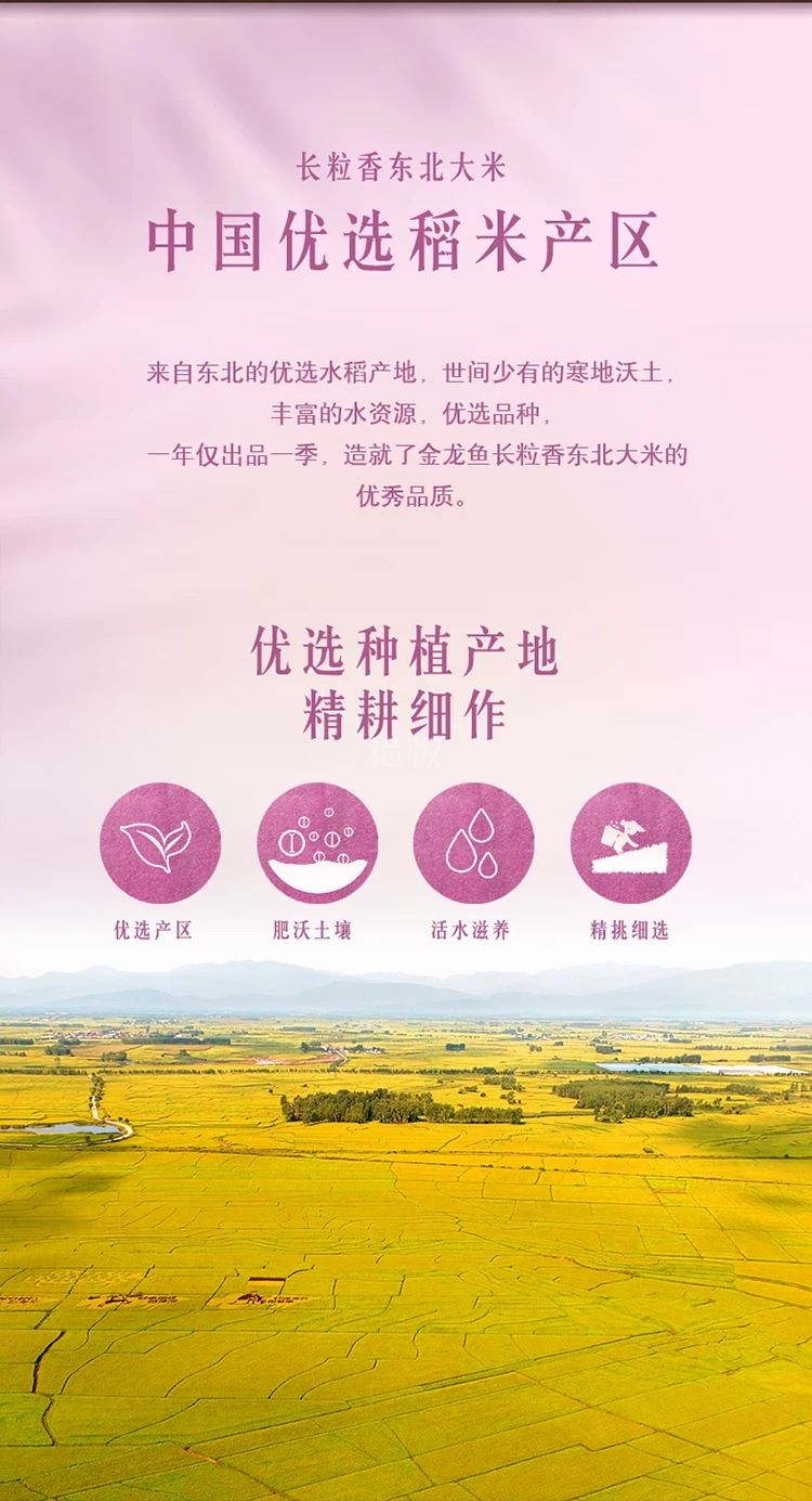 3ec92922-1e31-487f-b463-65c2966040bf.jpg