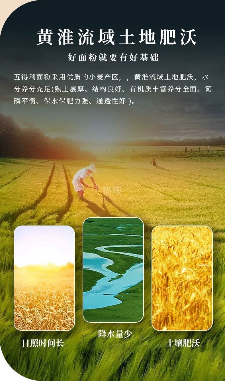 6f06baea-2094-42a5-85d8-13ca1f5d25d6.jpg