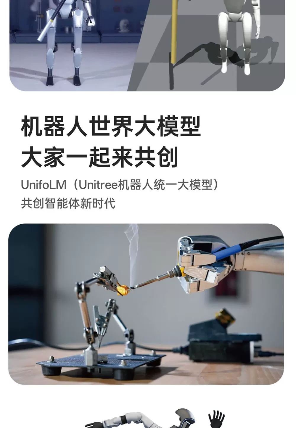 788788e7-a6c9-4edc-add7-db3866244ee9.jpg